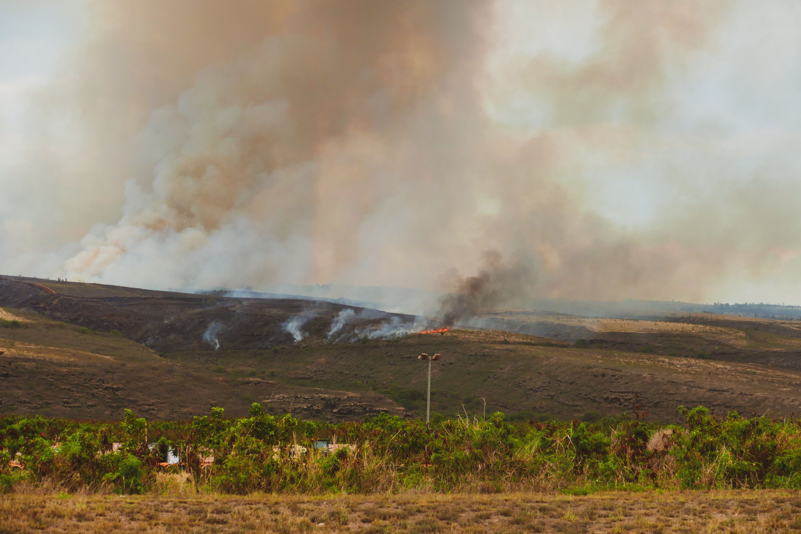 Fire in Waimea Canyon