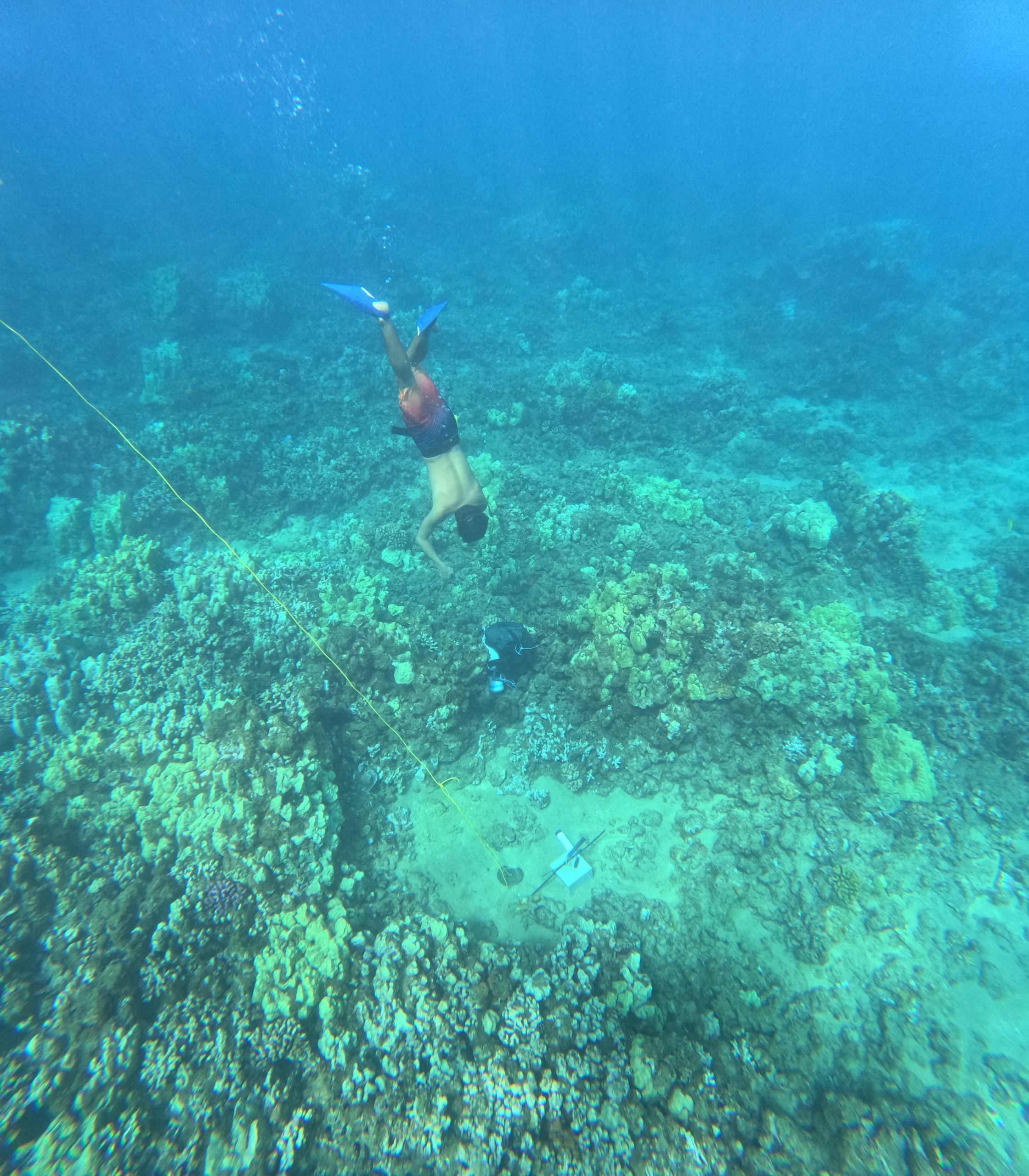 Sean dives underwater to check autosampler.