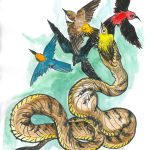 Pacific RISCC May 2025 Webinar - Community Perceptions of Invasive Species and Environmental Management in a U.S. Island Territory