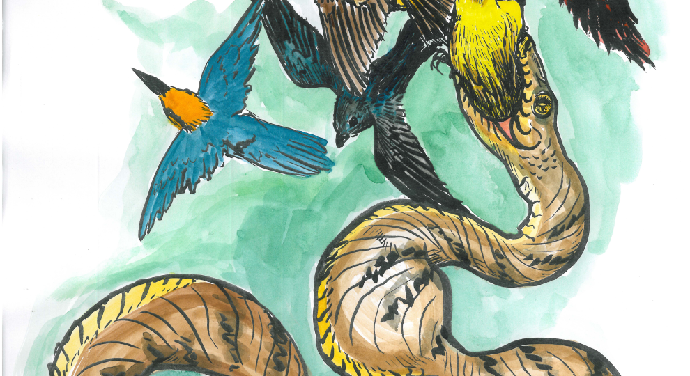 Artwork Nina Peck for Ann Marie Gawel Pacific RISCC Webinar May 2025